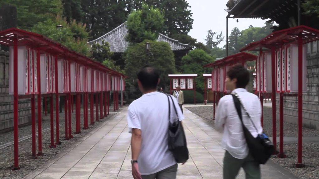 Exploring Okinawa, Tokyo and Narita