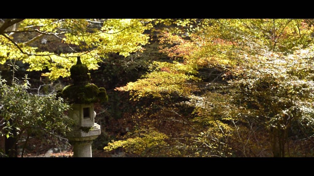 The Kyoto Network - Takao