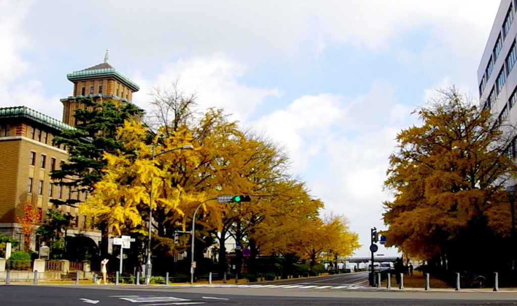 Yokohama Nihon Odori Street