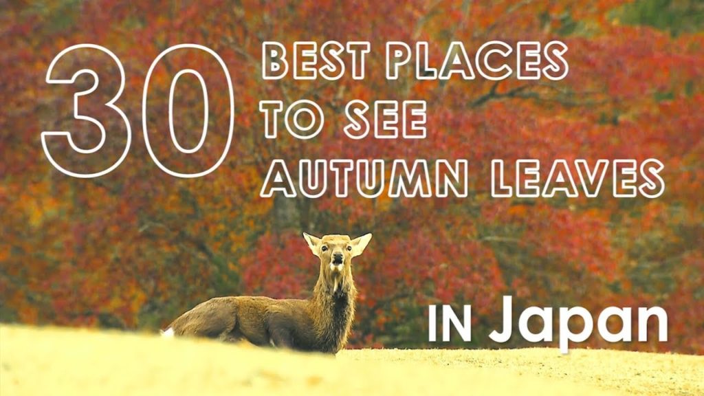 30 Best places to see autumn leaves in Japan 2019