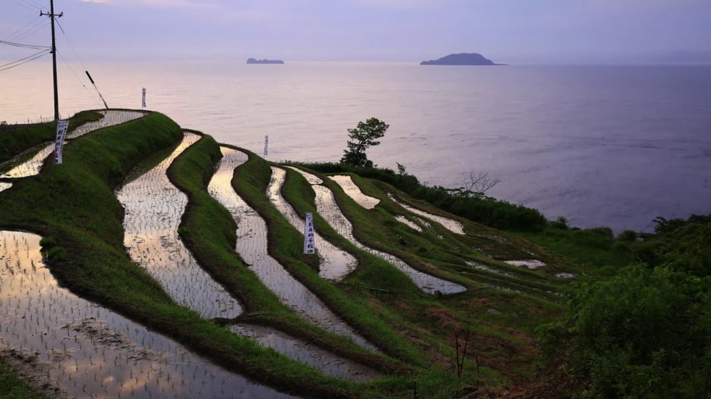 Japan 1 Minute Travel Kyoto Ine