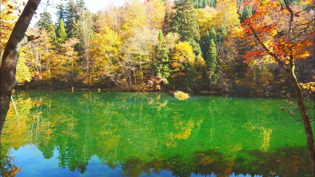 JG☆☆☆ 4K HDR 新潟 竜ケ窪湧水の紅葉(名水百選) Niigata,Ryugakubo Spring in Autumn(Water100)