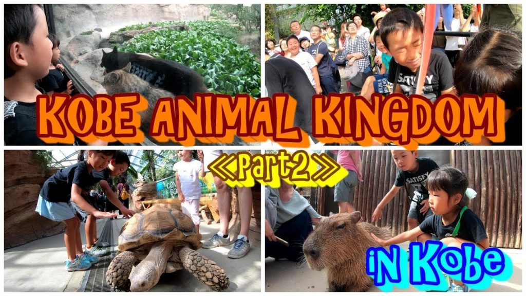 ★JAPANESE KIDS PLAY★【Part2】Japanese zoo in Kobe(Kobe Animal Kingdom) with English subtitles