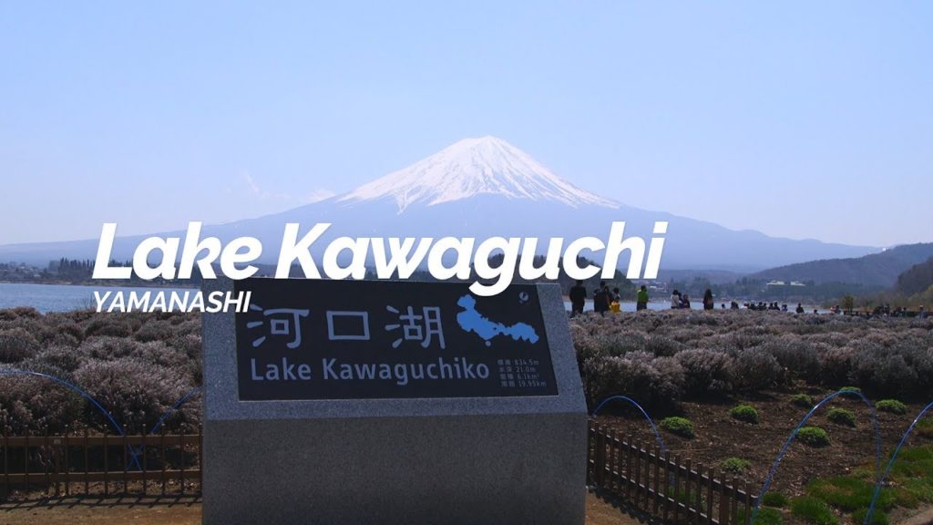 Lake Kawaguchi,Yamanashi | Japan Travel Guide Lake Kawaguchi,Yamanashi | Japan Travel Guide