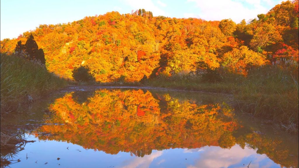 JG☆☆☆ 4K HDR 新潟 天水田の棚田に映る夕陽紅葉 幻想的な絶景と癒し Niigata,Autumn Illusion at Tanada(Terrace Pad)