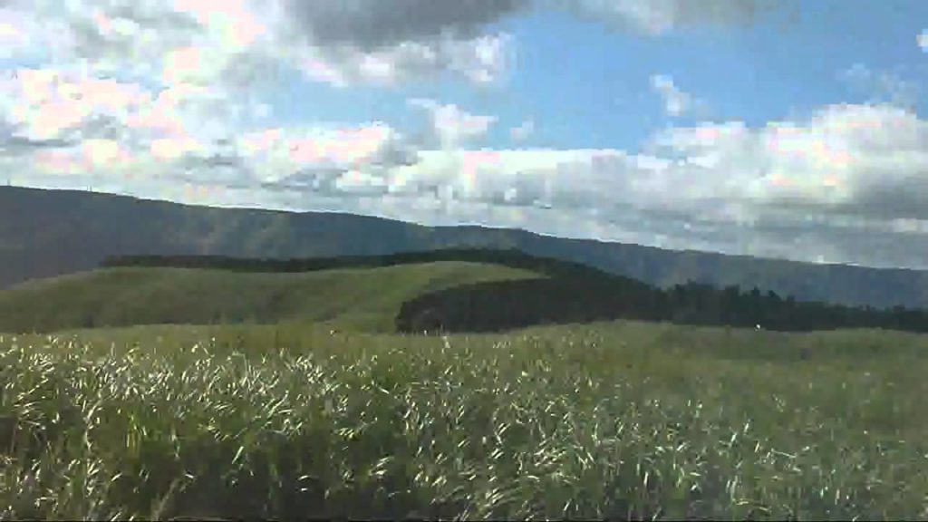 Kyushu road trip 2010 part 3 Kumamoto and Aso.