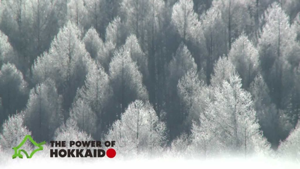 【The Power of Hokkaido】winter_white snow