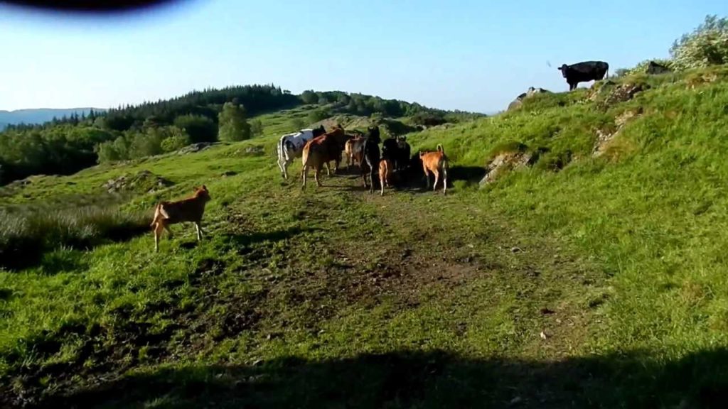 Running in the Lake District near Bouth, England May 2012