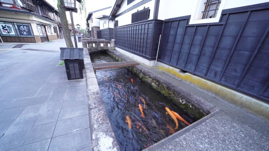 [4K] Tateyama Kurobe Alpine Route - Hida Furukawa
