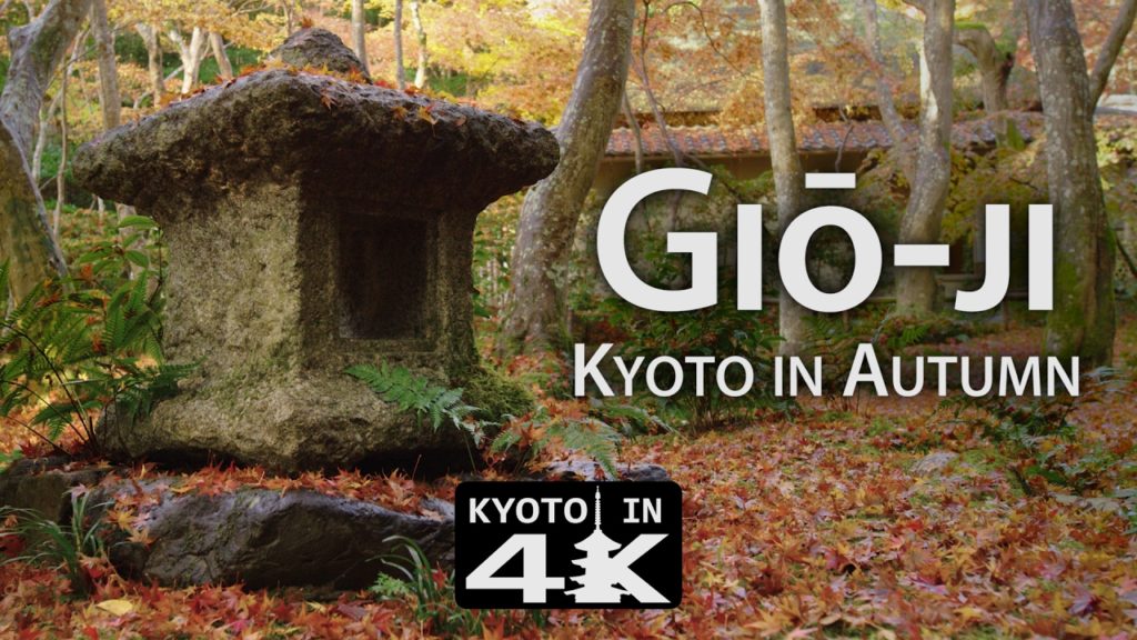 Beautiful Kyoto: Autumn 2016 at Giō-ji   [4K]