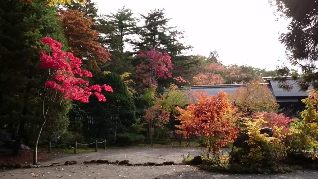Travel Japan Hokkaido Sapporo Nature　旅行動画 北海道の短い秋を撮影 紅葉が美しく眩しかった！紅葉を見て癒されてください！