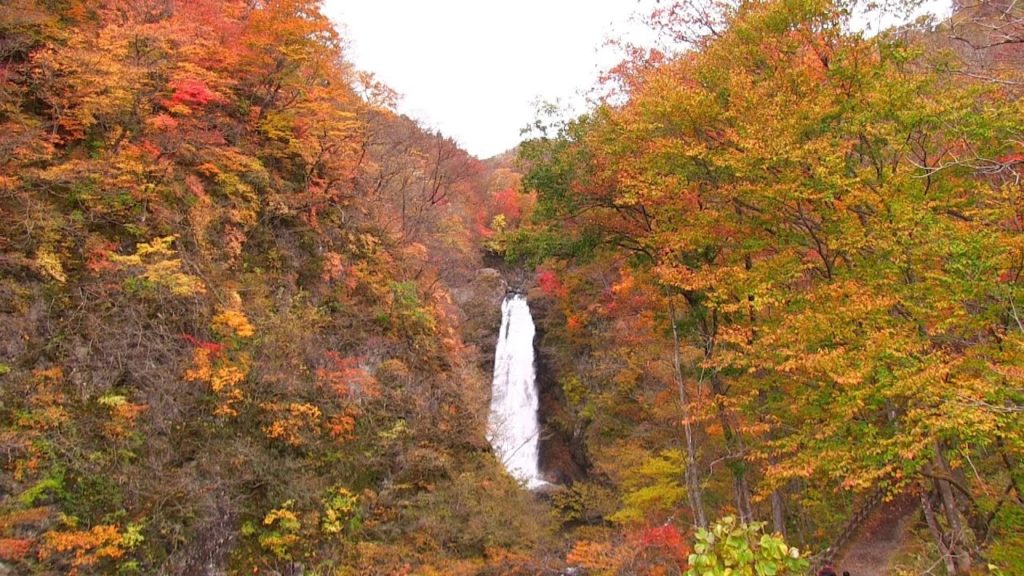 Akiu Otaki Waterfalls 日本三大瀑布 宮城県 秋保大滝の紅葉 日本の美しい秋の風景  Autumn colors Waterfall in Miyagi Japan