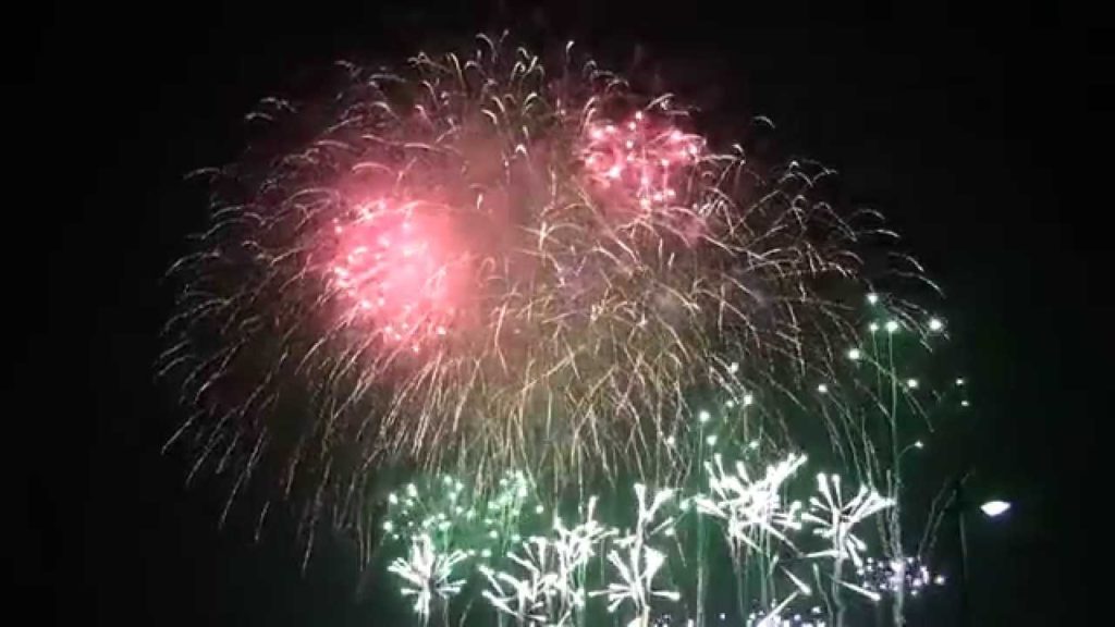 2014.5・【花火】和歌山マリーナシティ・スターライトイリュージョン（和歌山市）fireworks