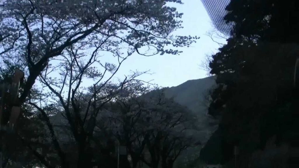 桜・秋葉街道6(国道１５２号）北上・浜松市,National-road152,Hamamatsu,Japan