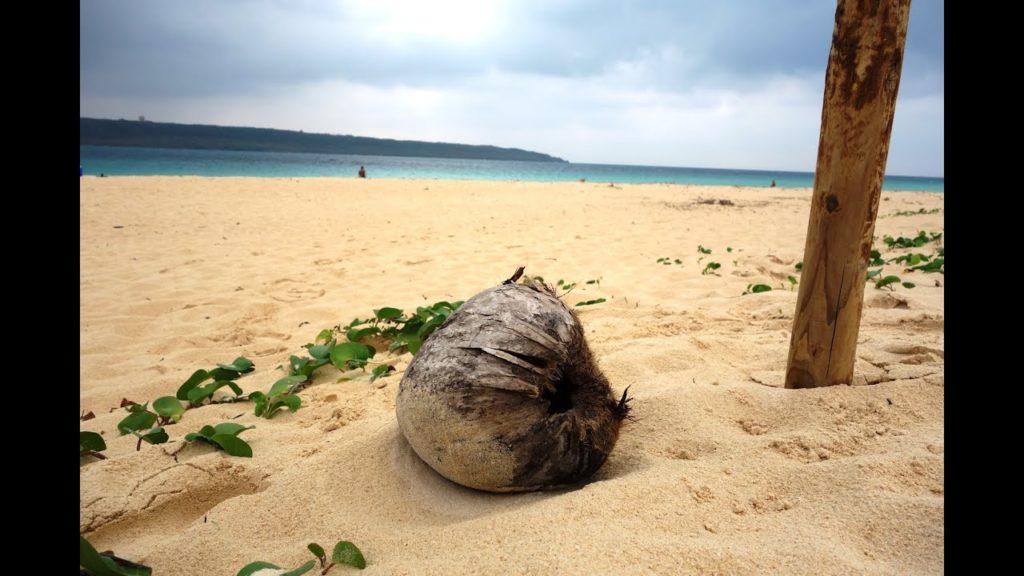 Miyako Island, Okinawa, October 22, 2014 Miyako Island, Okinawa, October 22, 2014