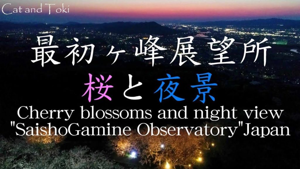 綺麗な夜桜 夜景の絶景スポット"最初ヶ峰展望所"和歌山ドローン空撮影4K 綺麗な夜桜 夜景の絶景スポット"最初ヶ峰展望所"和歌山ドローン空撮影4K