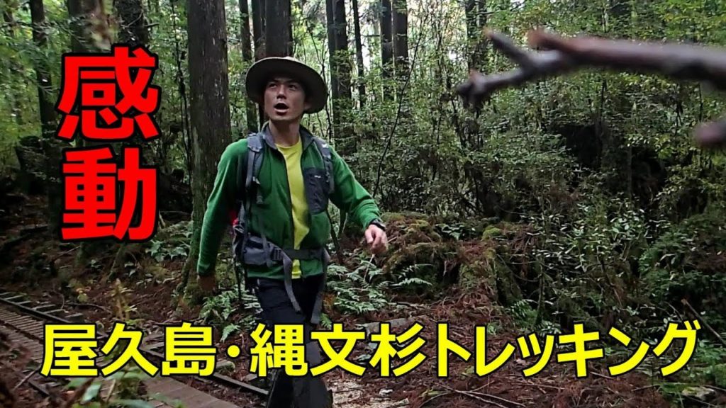 感動！屋久島一人旅～縄文杉トレッキング～