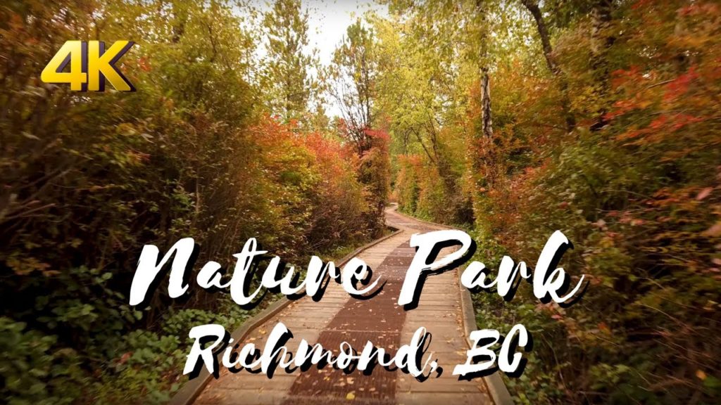 Forest Walk 4K - Richmond Nature park filmed on DJI OSMO Pocket