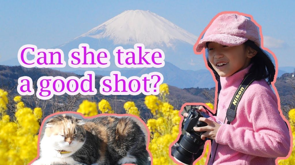 MT. FUJI AND RAPESEED FLOWERS 富士山と菜の花