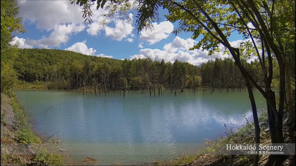 青い池 上川郡美瑛町 北海道 Blue Pond, Hokkaido JAPAN