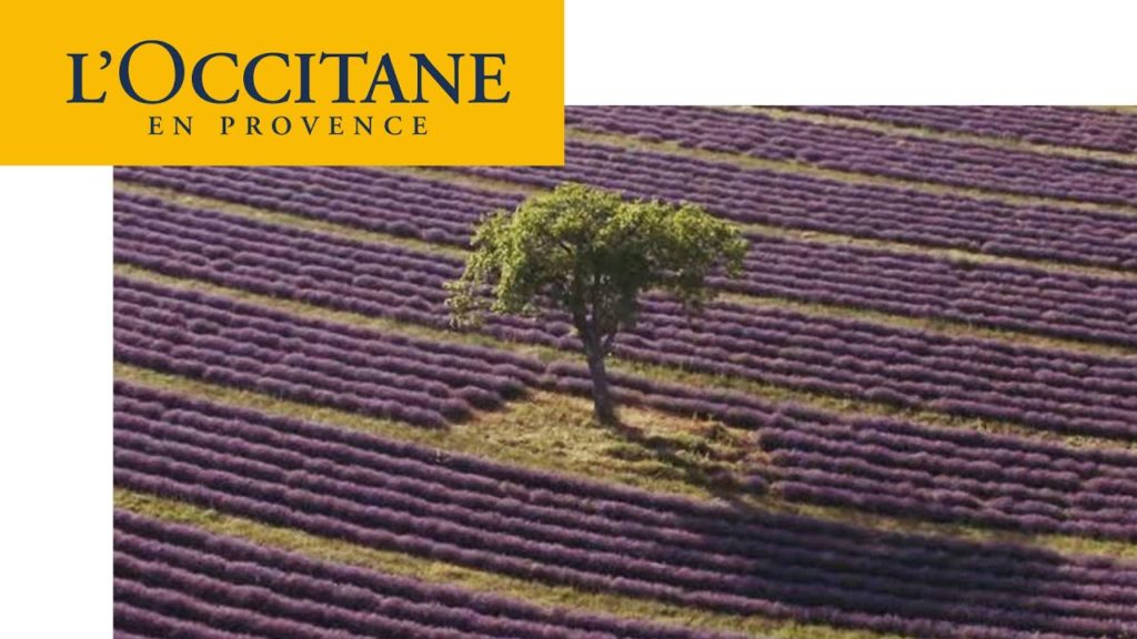 Fantastic Provence - Lavender in Haute-Provence | L'Occitane