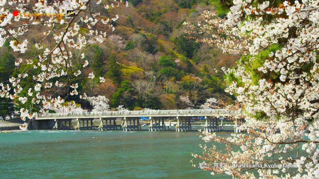 京都嵐山の桜　Arashiyama Kyoto Japan【4K UHD】癒し 日本の風景 The Beautiful Scenery of Japan travel Guide