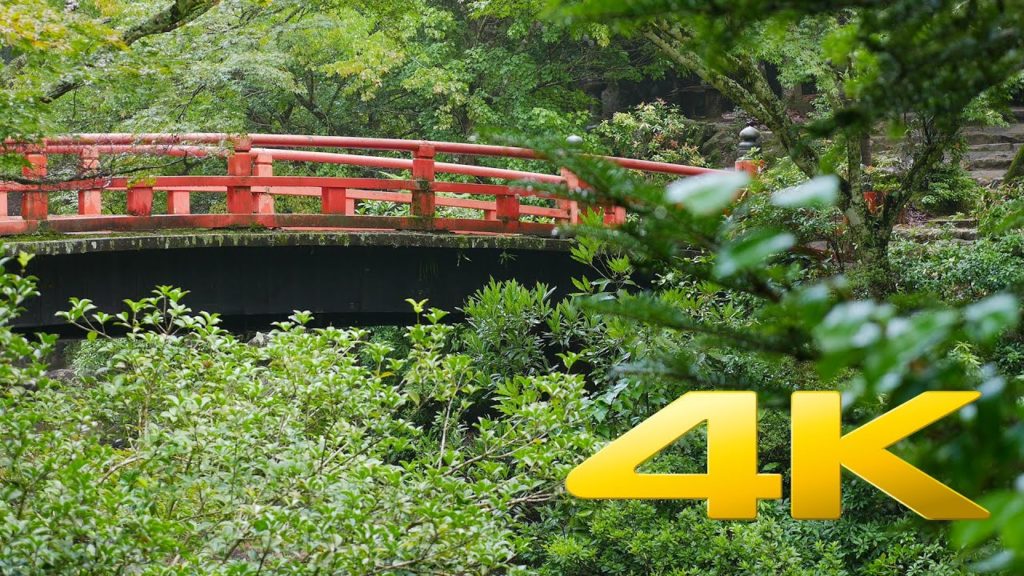 Miyajima Shiraito River – Hiroshima – 白糸川 – 4K Ultra HD Miyajima Shiraito River - Hiroshima - 白糸川 - 4K Ultra HD