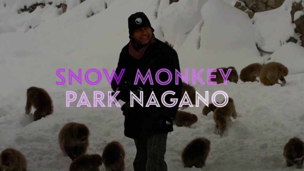 Jigokudani Snow monkey Park Nagano
