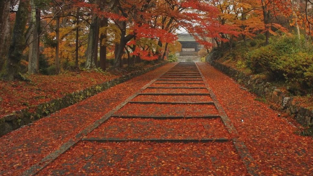 The four seasons in Kyoto(Japan), Autumn leaves【四季の京都、秋・紅葉】