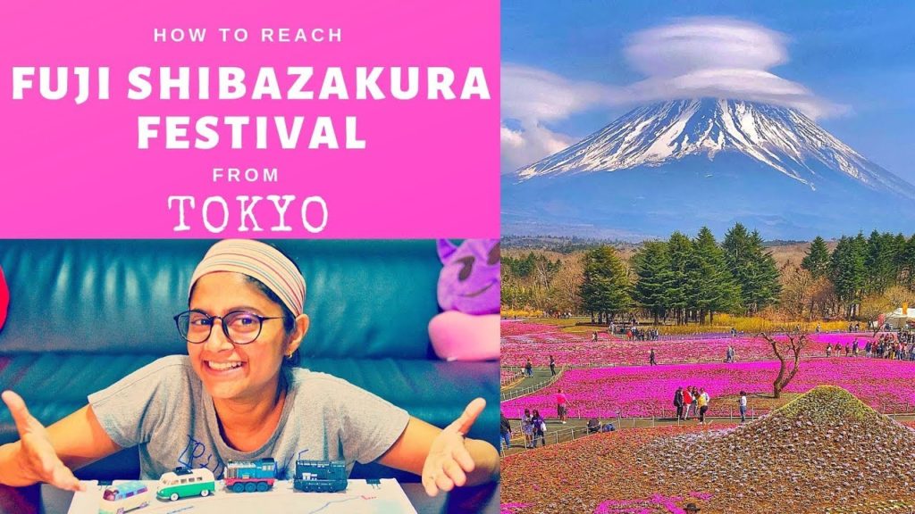 WE MADE IT to Fuji Shibazakura Festival from Tokyo | Stay at Ryokan WE MADE IT to Fuji Shibazakura Festival from Tokyo | Stay at Ryokan