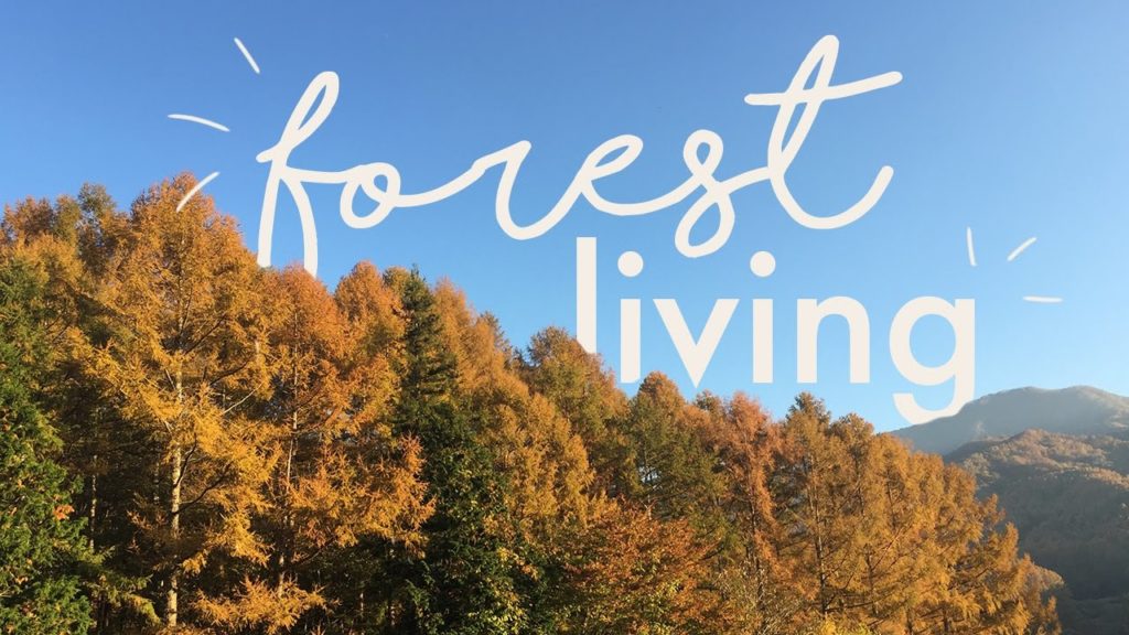 LIFE IN THE FOREST // JAPAN