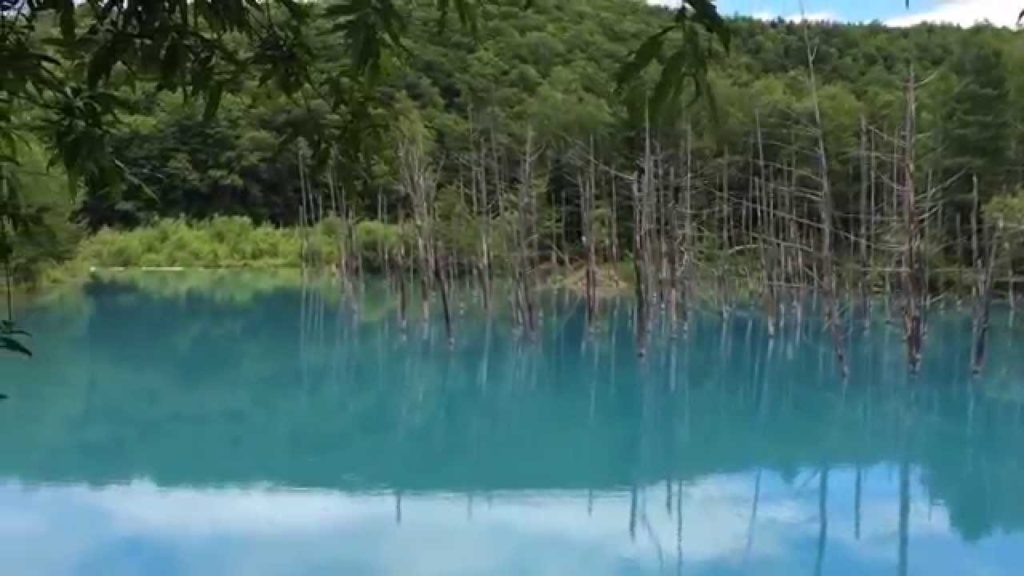 青い池｜Blue-pond,Hokkaido. By北海道ラボ