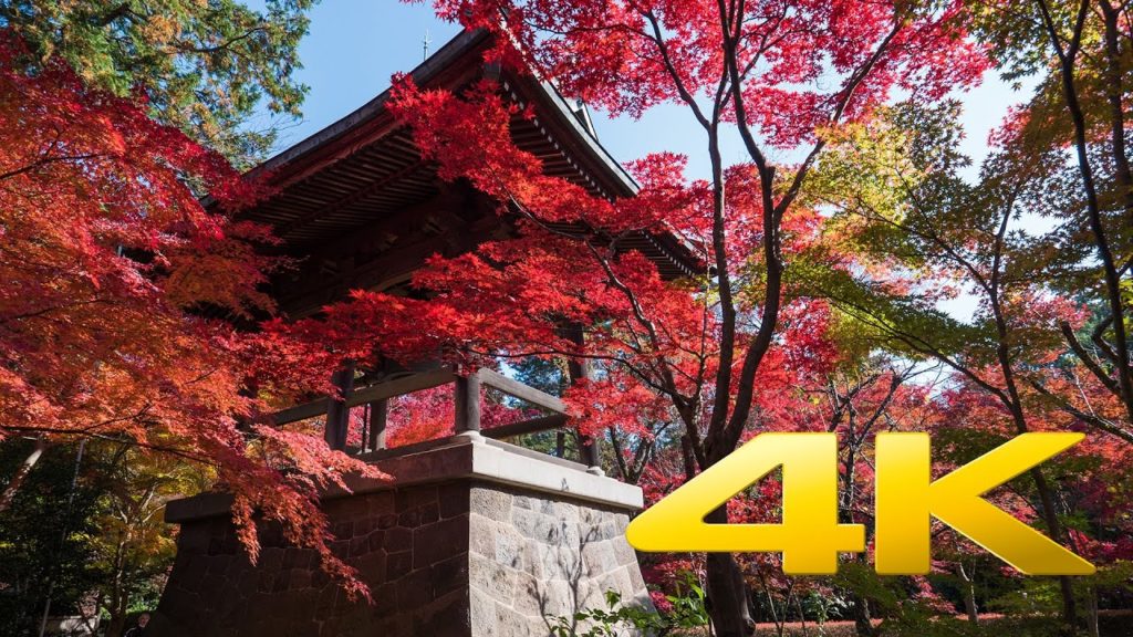 Heirin-ji - Saitama - 平林寺 - 4K Ultra HD