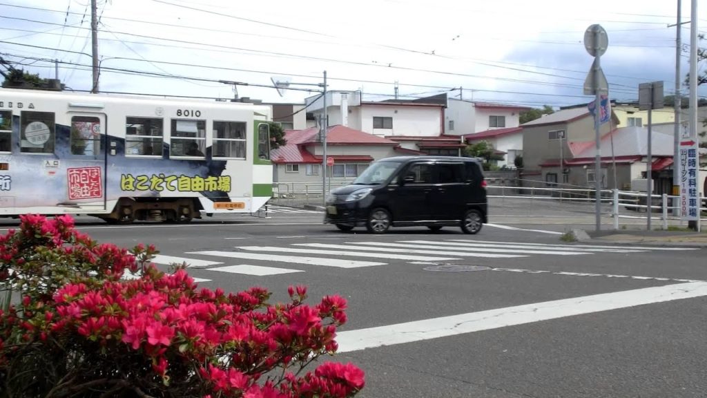 函館市電　Japan Hakodate City Tram ( Street Car ) 8010