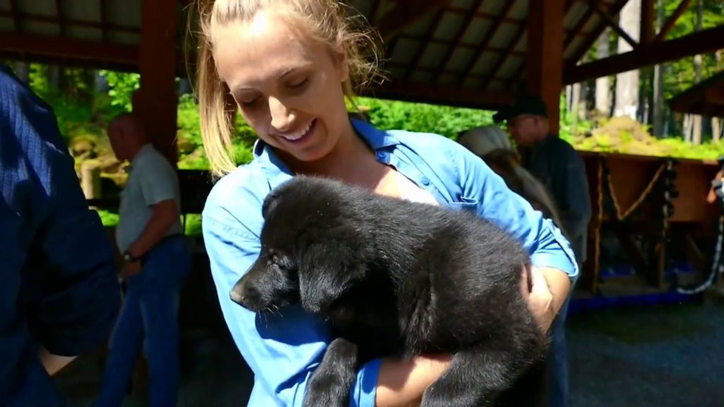 Westerdam 2019: ALASKA