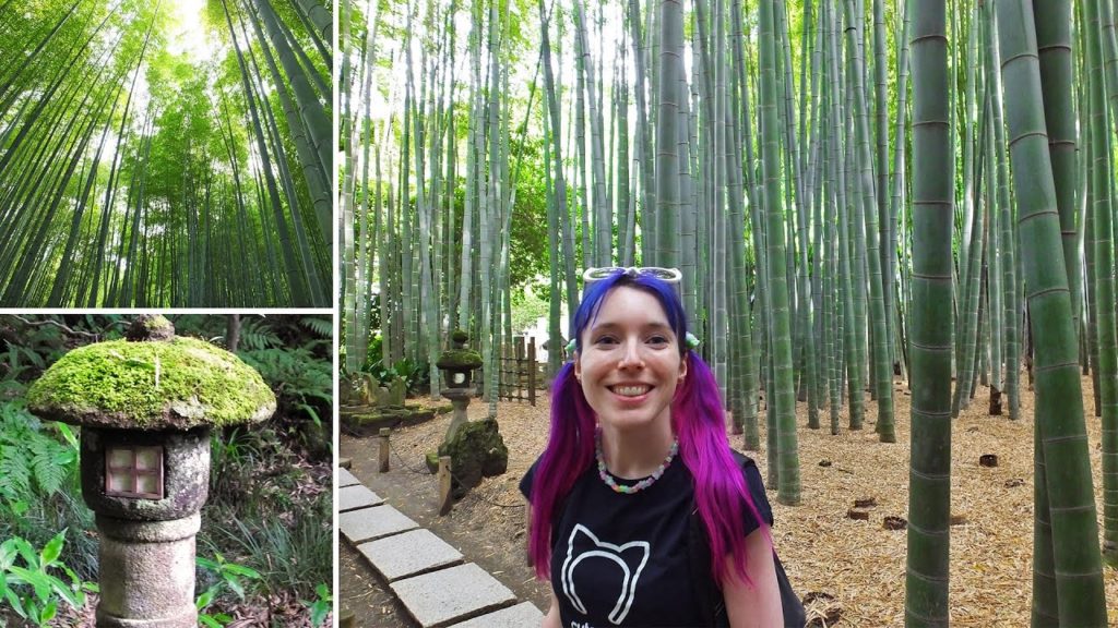 Bamboo Forest in Kamakura - SO BEAUTIFUL!! Tokyo Day Trip