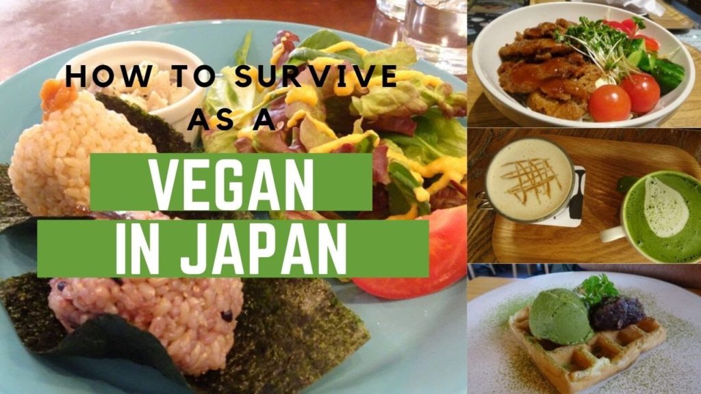 Vegan in Japan | Advice for Travellers | How not to starve! 🇯🇵