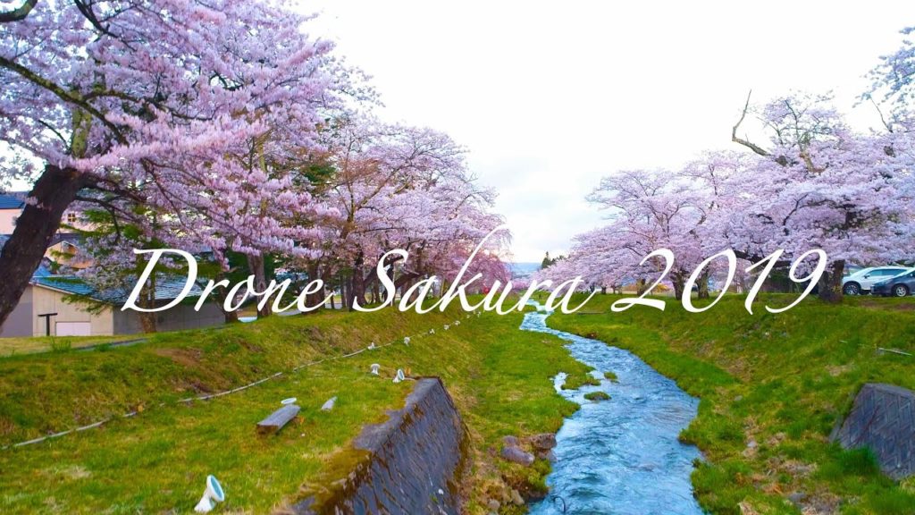 桜の名所ドローン旅　SakuraDrone2019　4K　DroneRangerMiura Vlog 5　#観音寺川桜　＃流川桜　＃鰺ヶ沢町桜　#東北桜