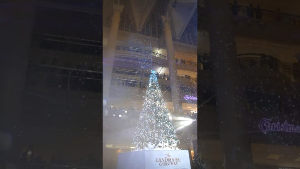 Scene from Merry Snow Christmas at Yokohama Landmark Plaza [RAW VIDEO]