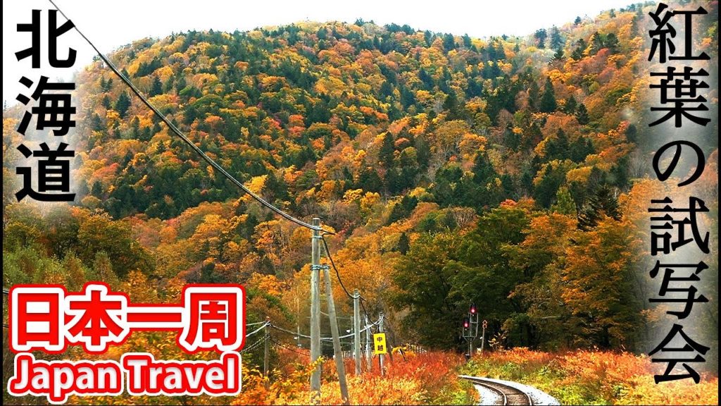 (79)【第５７日】日本一早い紅葉を車窓から《夏休み日本一周の旅 呼人駅→旭川駅》10/5-101