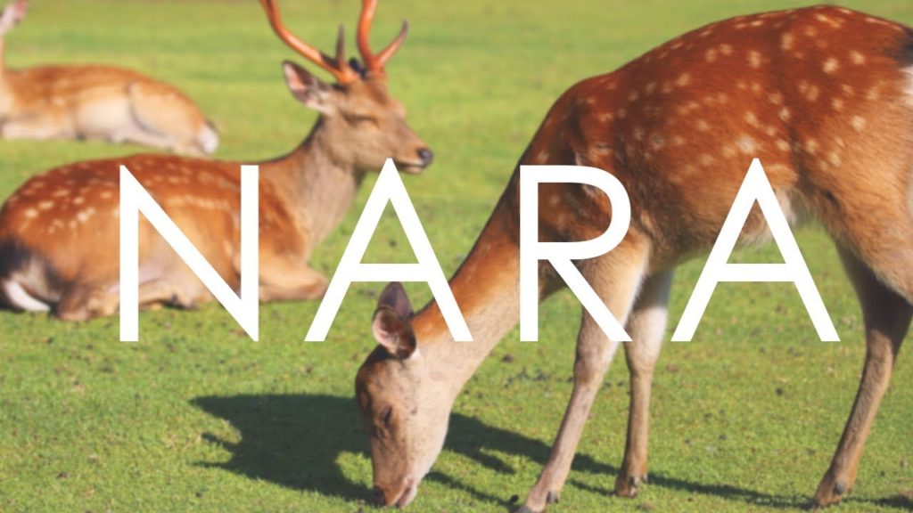 Nara: Origins [4K Japan Cinematic]