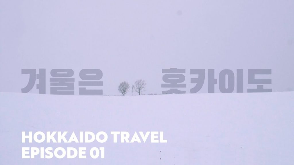 [홋카이도 삿포로 여행 브이로그] 북해도 첫째날 | 삿포로 | 숙소정보 | 스프카레 맛집