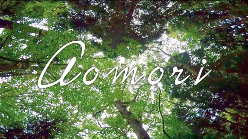 Exploring the Beauty of Aomori in Fall