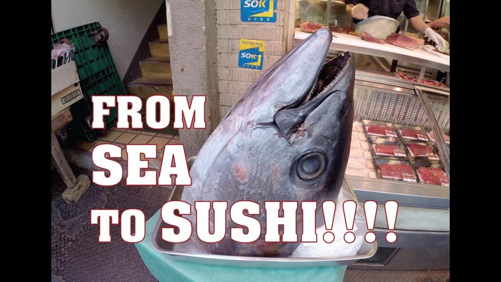JAPAN: Sea to SUSHI, Tokyo to Osaka (EP 4)