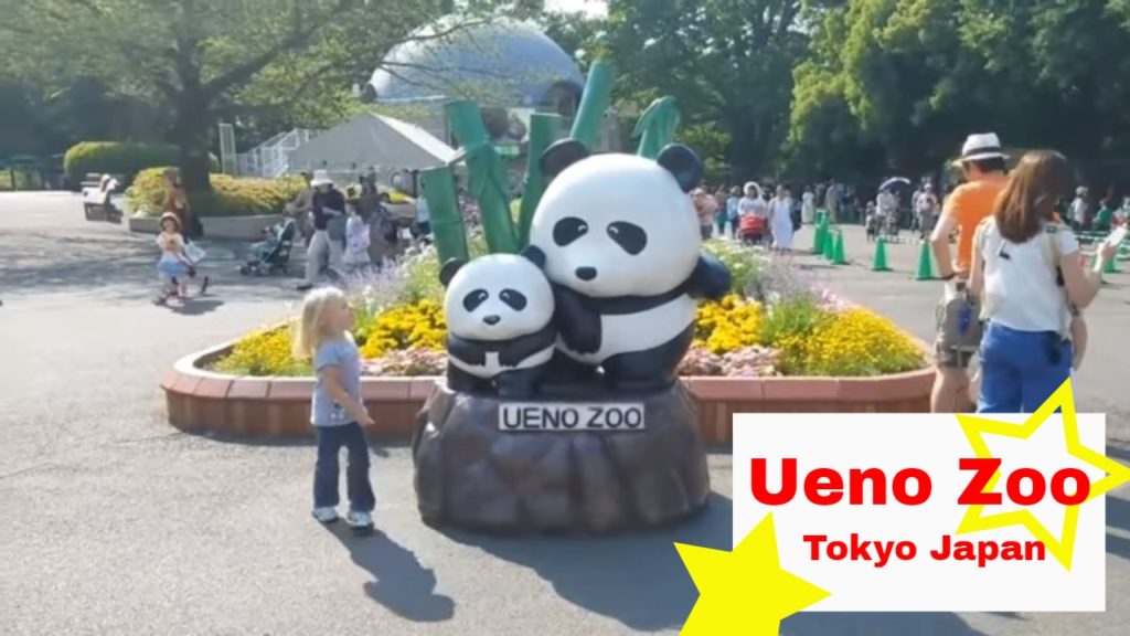 Ueno Zoo Tokyo Japan 🐘🐼🐧