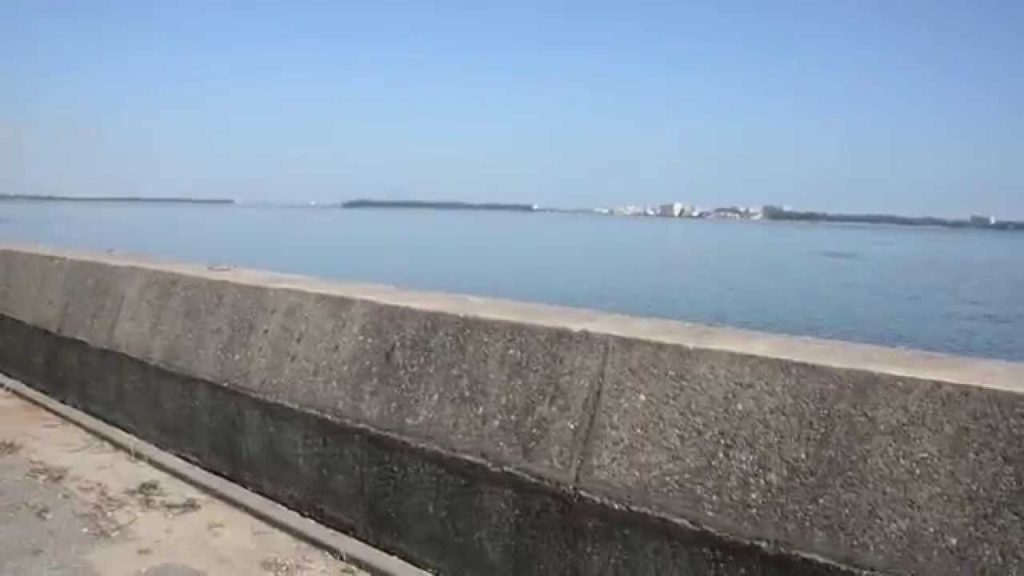 【遠州釣り倶楽部】浜名湖釣り場・村櫛漁港！大物釣れる場所？Murakushi,Lake-Hamana/Japan