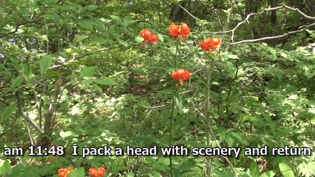 Mt. Kurodake climbing Yamanashi