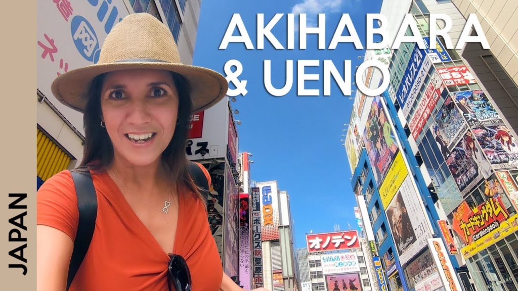 TOKYO, Japan travel guide: Akihabara, Bic Camera, Pachinko, Ueno Park | Vlog 7
