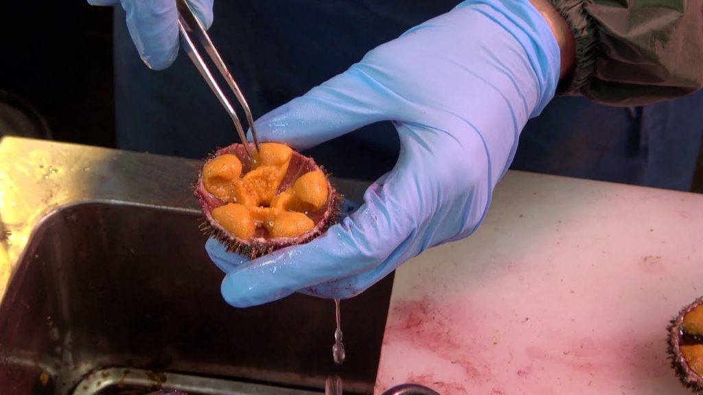 Sweet Hokkaido sea urchin sashimi | Japanese street food