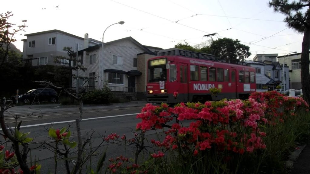 函館市電　Japan Hakodate City Tram ( Street Car ) 3001  with flower
